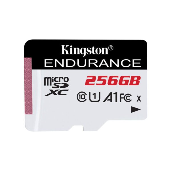 MicroSD High-Endurance 256GB