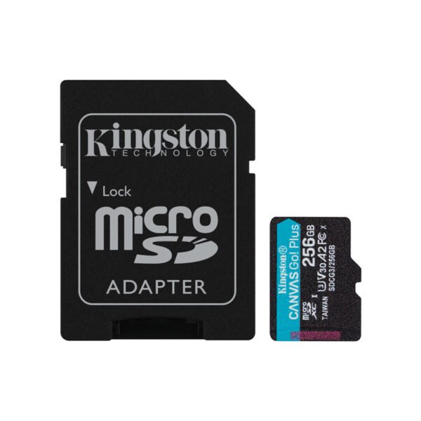 MicroSD Canvas Select Go! 256GB