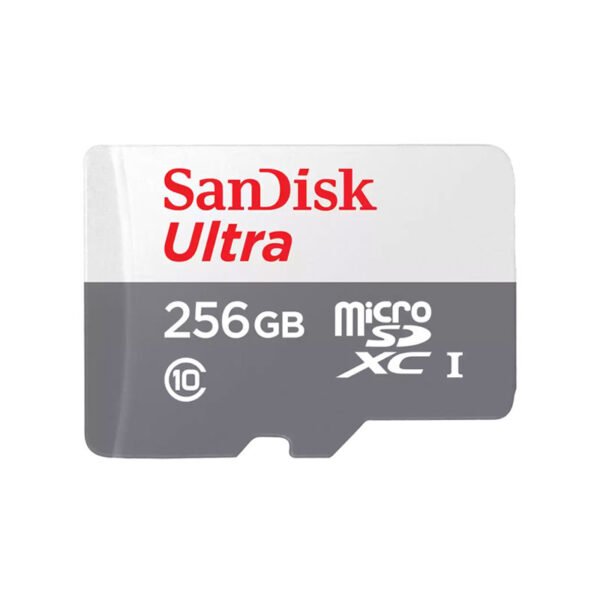 MicroSD Ultra microSDHC y microSDXC UHS-I - 256GB